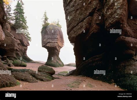 Flowerpot Rock Hopewell Rocks Park Shepody Bay New Brunswick Canada