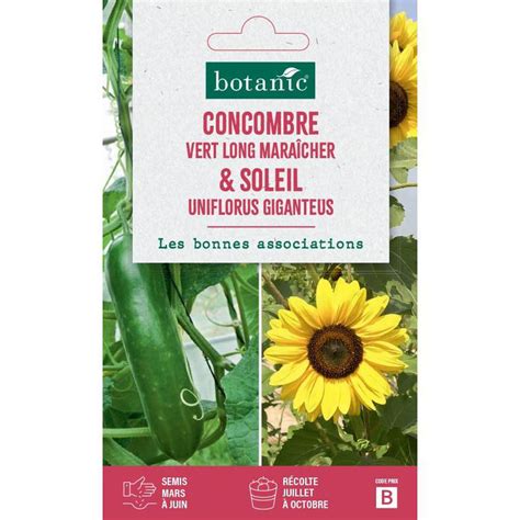 Duo De Graines Concombre Vert Long Mara Cher Et Graines De Tournesol