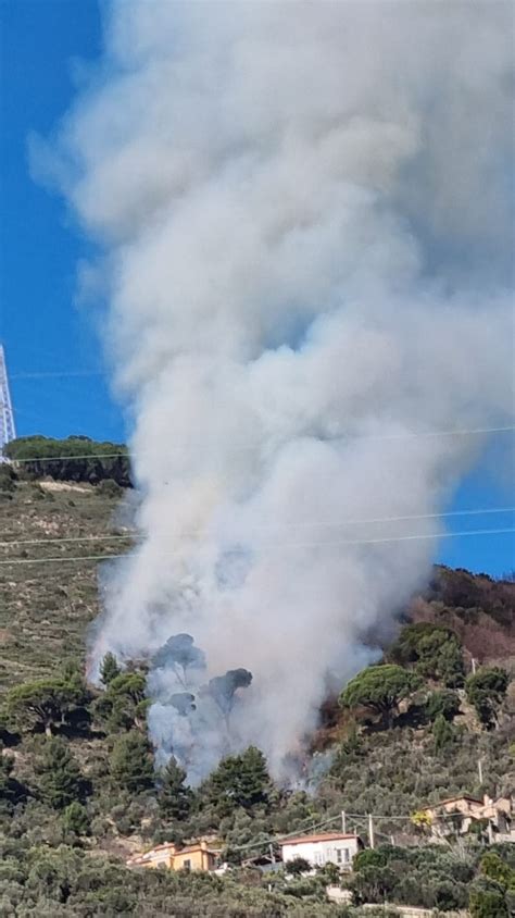 Incendi Liguria Fiamme Sulle Alture Di Alassio Canadair In Azione Foto