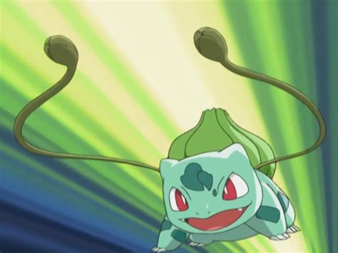 Image - May Bulbasaur Vine Whip.png | Pokémon Wiki | Fandom powered by Wikia