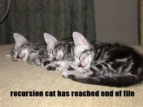 recursion cat  reached   file myconfinedspace