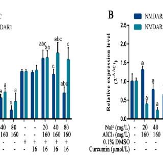 The Effects Of Curcumin Intervention On Caspase3 Bax And Bcl 2 Protein