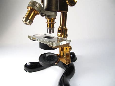 Rare Antique Bausch And Lomb Brass Claw Foot Physicians Microscope