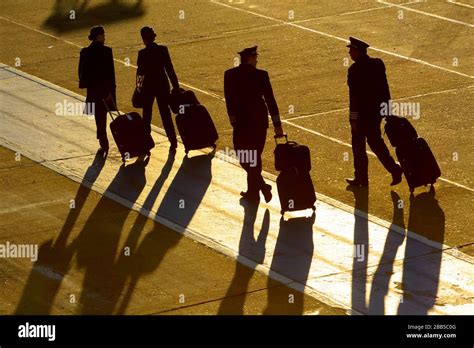 Flight Attendants And Pilots Walking With Bags Professionals Of