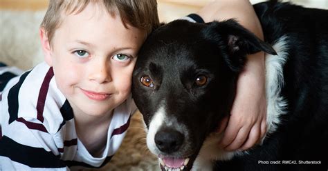 Autism & Animal-Assisted Therapy – WellBeing International