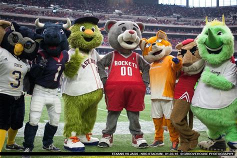 A few Houston mascots at the Texans vs Jaguars game! : r/houston