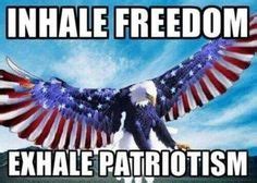 11 Patriotic memes ideas | memes, patriotic memes, patriotic