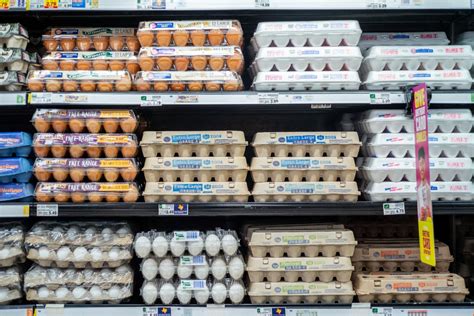 Decoding Egg Carton Labels A Guide To Understanding Grocery Store