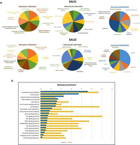 Functional Enrichment Analysis For Go And Pathway Map Ontologies