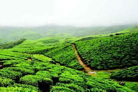 Chikmagalur Coorg Mysore Tour Package 196004 Holiday Packages To