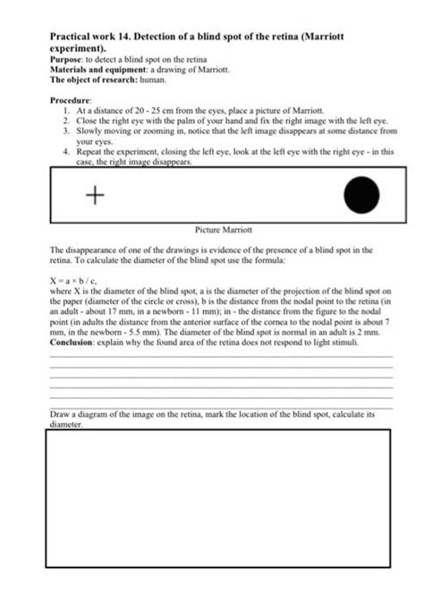 Practical Work 14 Detection Of A Blind Spot Of The