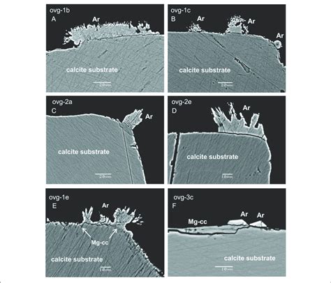 Sem Bse Images Of Calcite Substrate And New Formed Crystals Acicular