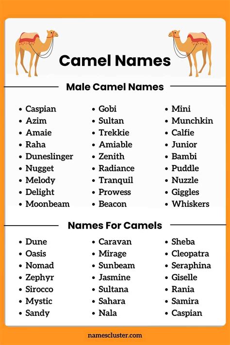 250+ Best Cute Famous And Arabic Camel Names