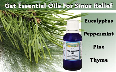 Essential-Oils-For-Sinus | Penn Herb Company Blog