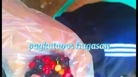 Paano Gumawa Ng Bugnay Wine Ingredients Bugnay Sugar Water Yeast