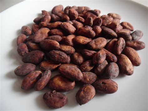 Fermented Fine Cocoa Beans (Criollo) Grade 1-A | Inaexport