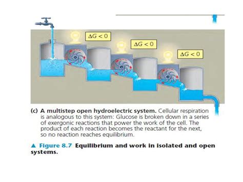 The Free Energy Change Of A Reaction Tells Us Whether Or Not The