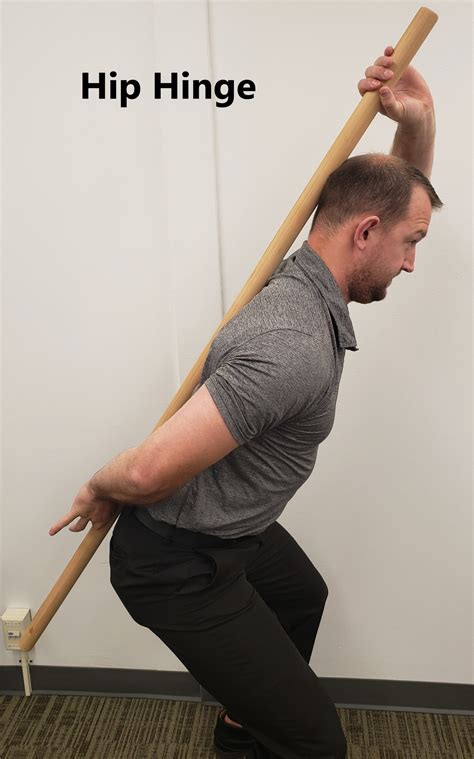 hip hinge  essential movement cascade chiropractic wellness