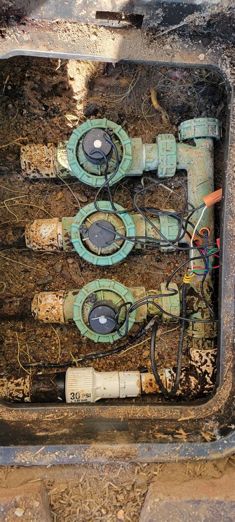 Pressure regulator leak - Is this setup wrong? : r/Plumbing