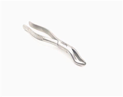 Extracting Forceps 53R Dull Matte Finish Merit Surgical