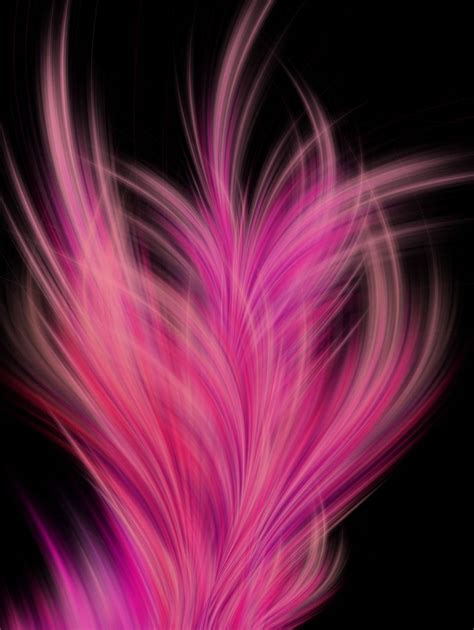 Pink Feathers Wallpapers Top Free Pink Feathers Backgrounds Wallpaperaccess