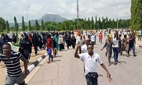 Our Protests Would Not Stop Until El Zakzaky Is Freed Shiites