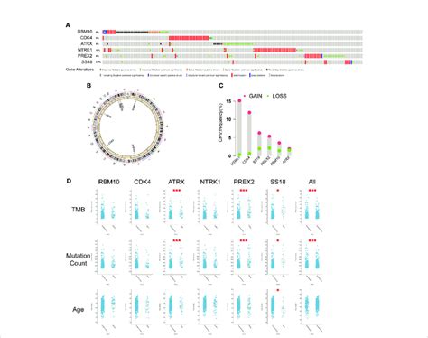 Characteristics Of The Six Differently Mutated Genes A Gene