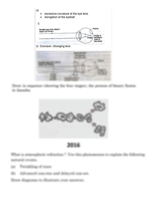 SOLUTION Class 10 Science Important Diagrams Studypool