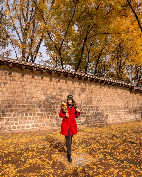 The Ultimate Guide To Autumn In Korea Gina Bear S Blog