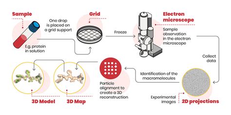 Criomicroscopía eléctrica electrones pequeños para visualizar