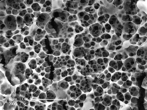 SEM Observation Of Hierarchical And Stochastic Open Porosity Produced