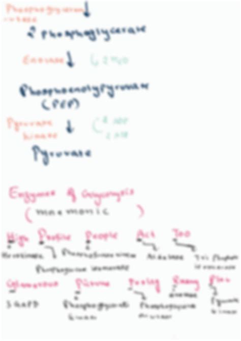 SOLUTION: Glycolysis notes with mnemonic for easy learning - Studypool