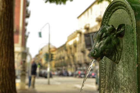 Acqua Contaminata Da Pfas In Piemonte L Allarme Di Greenpeace