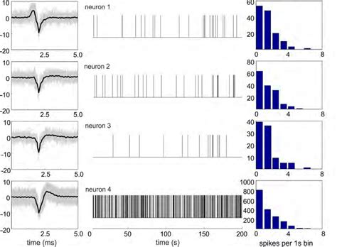 Action Potential Waveforms And Spike Train Analysis Of 4 Simultaneously