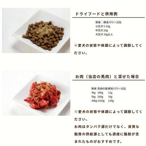 犬 ペット 用 発酵 野菜 ふりかけ 手作り 食材 ドッグフード 無添加 低リン 発酵食品 酵素パワー元気 100g Tge 090796