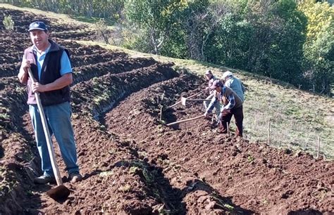 Programa De Recuperación De Suelos Degradados Apoya Este Año A Usuarios