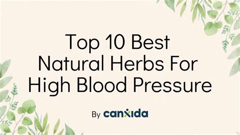 Top 10 Best Natural Herbs For High Blood Pressure Herbs That Lower