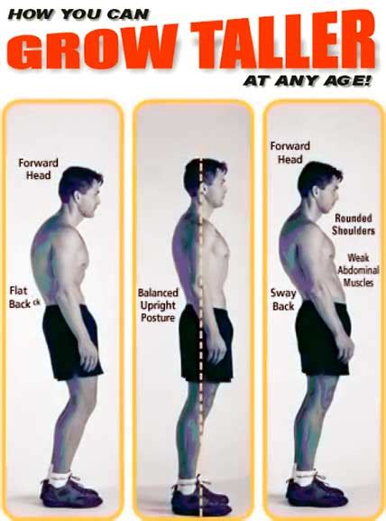 Exercises For Increasing Height How To Gain 3 6 Inch Naturallystart