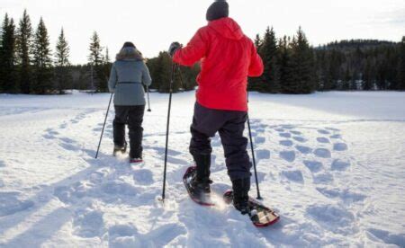 Les 4 meilleures raquettes de neige 2024 NON sponsorisé