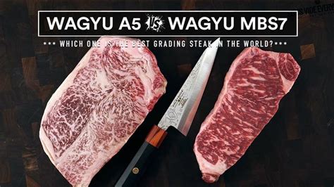 Japanese Wagyu A5 Vs Australian Wagyu Mbs 7 Worlds Best Steaks