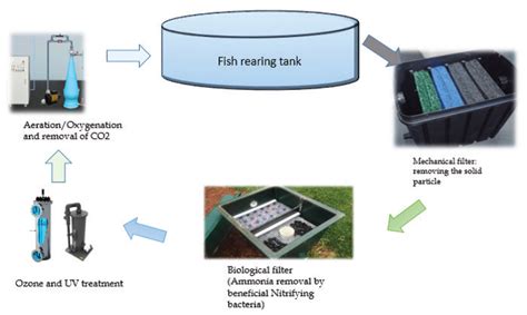 Recirculatory Aquaculture System Ras — Vikaspedia