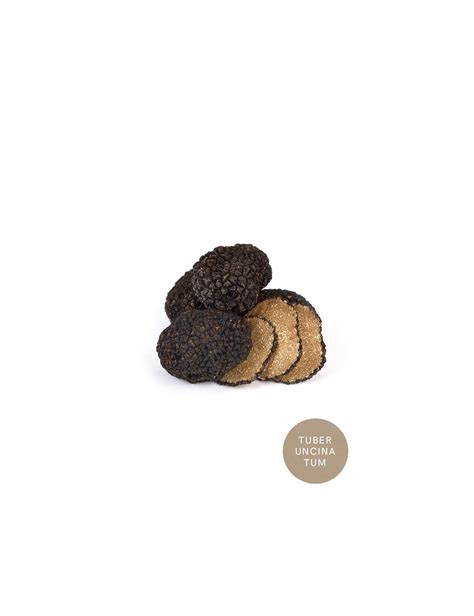 Comprar Trufas Online Trufa Fresca Manjares De La Tierra