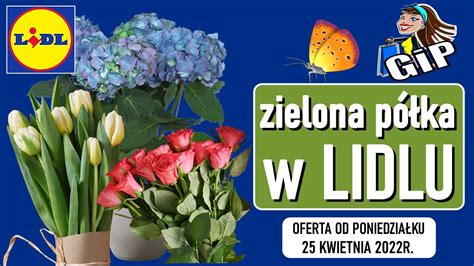 Lidl Oferta Od Poniedzia Ku Kwiaciarnia Lidla Youtube