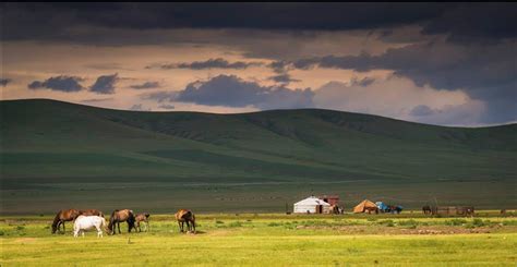 Nomadic Life 4x4 | Steppe MongoliaNomadic Life 4x4 | Steppe Mongolia ...