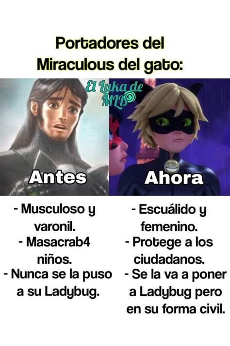 Miraculous Ladybug Temporada 5 Memes En 2023 Memes Memes Divertidos Memes De Miraculous Ladybug