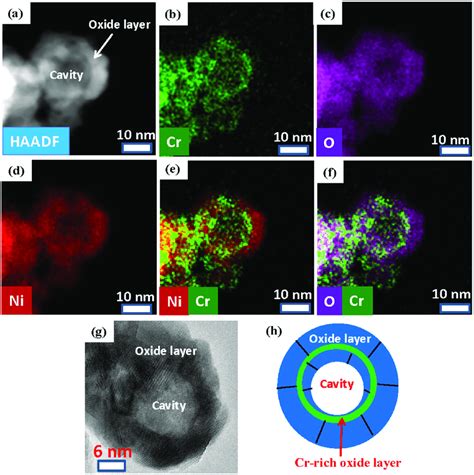 Stem Haadf Image And Eds Elemental Maps Showing The Spatial