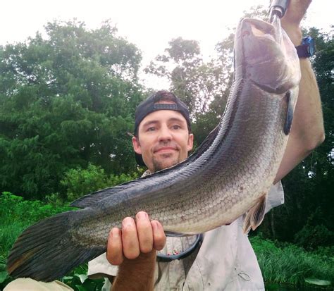 Central Florida Inland - Coastal Angler & The Angler Magazine