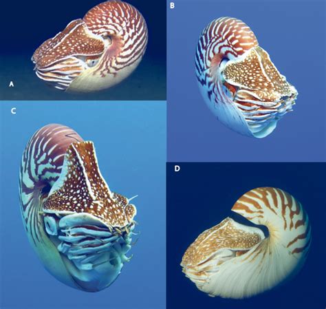 breaking science news