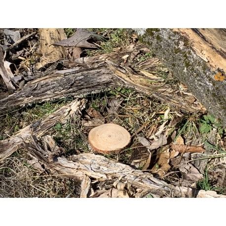 split log geocaching stuff