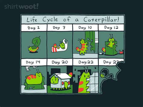 The Life Cycle of a CATerpillar